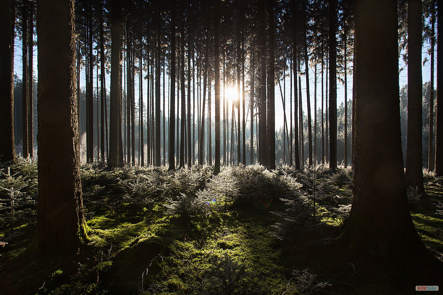 bilder_03