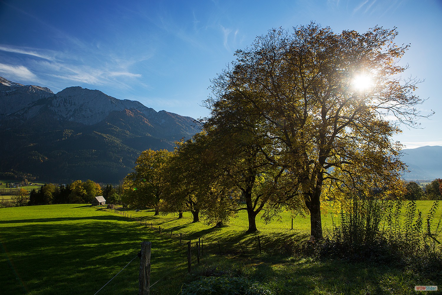 bilder_27