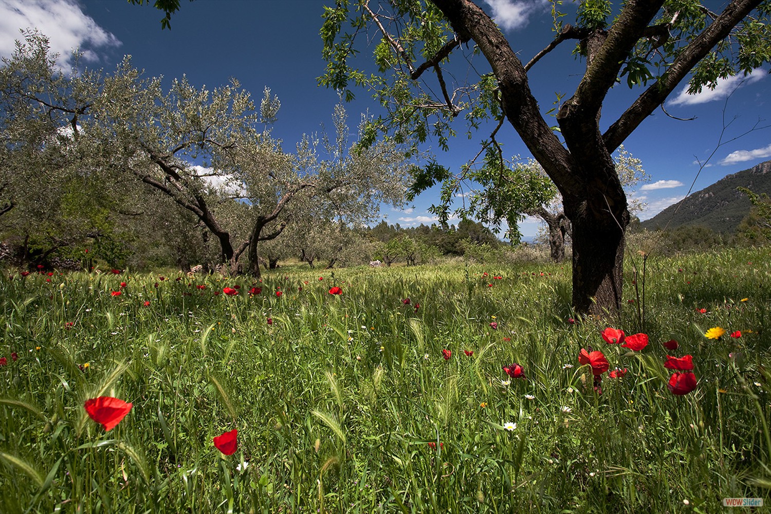 bilder_29