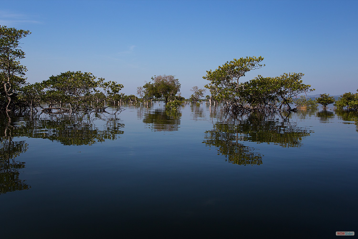 bilder_30