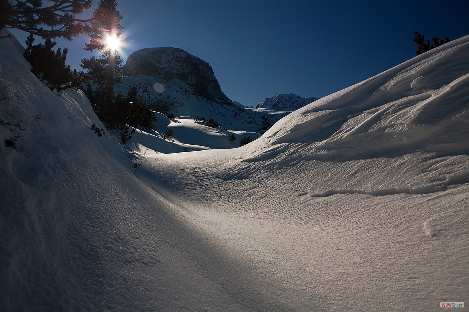 bilder_31