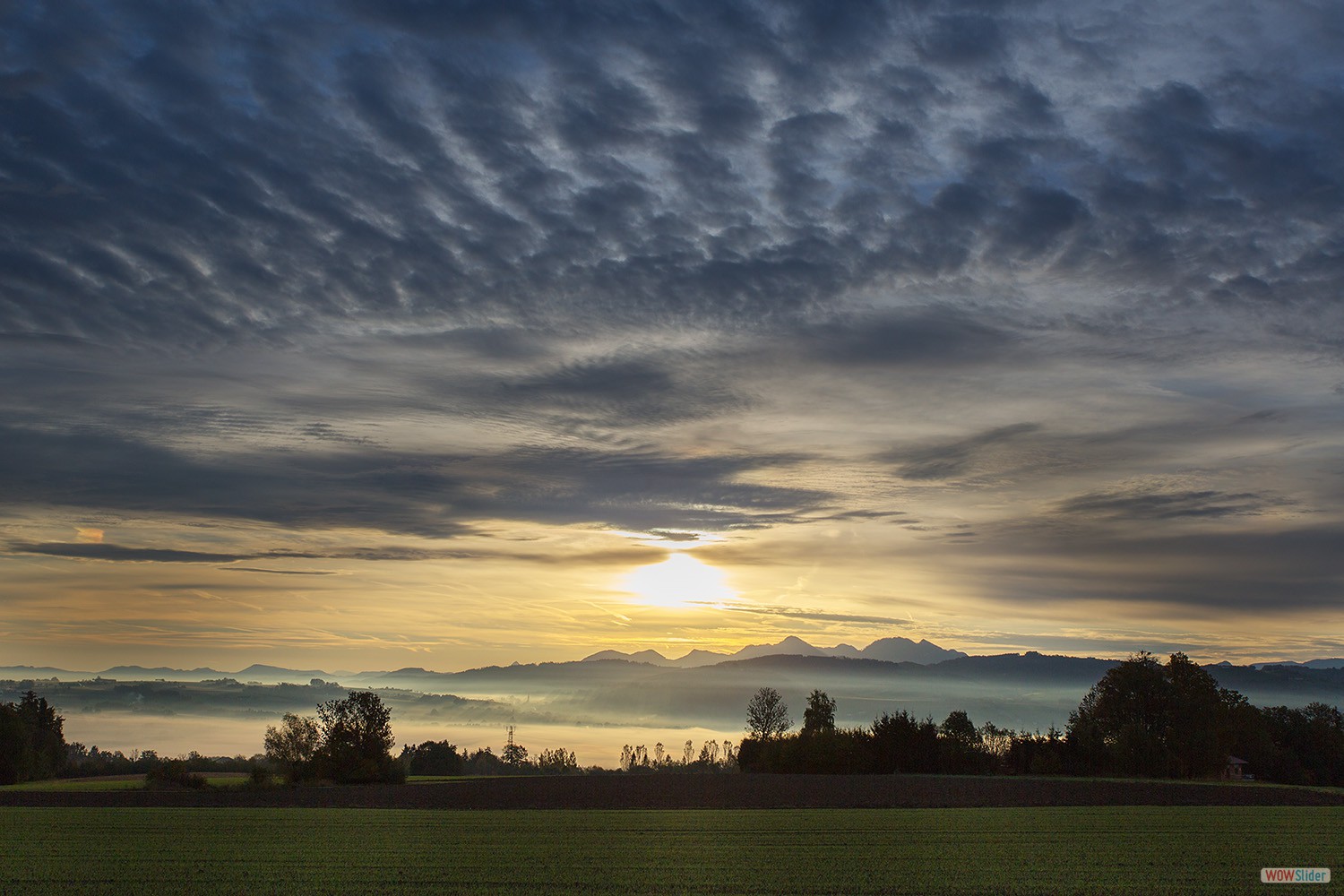 bilder_46