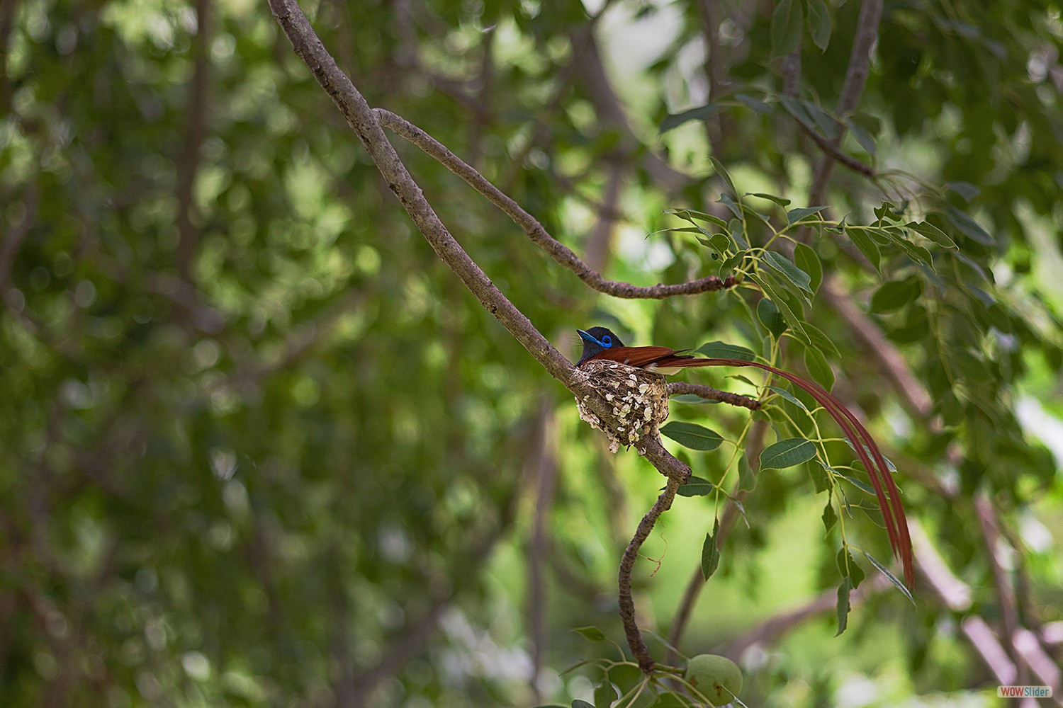 bilder_50