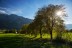bilder_27