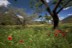 bilder_29