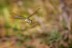 bilder_39