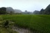 bilder_45