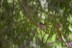 bilder_50